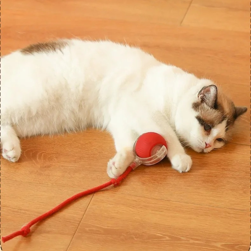 HOT Smart Cat Toys Automatic R - огляд і ціна Pet Supplies First