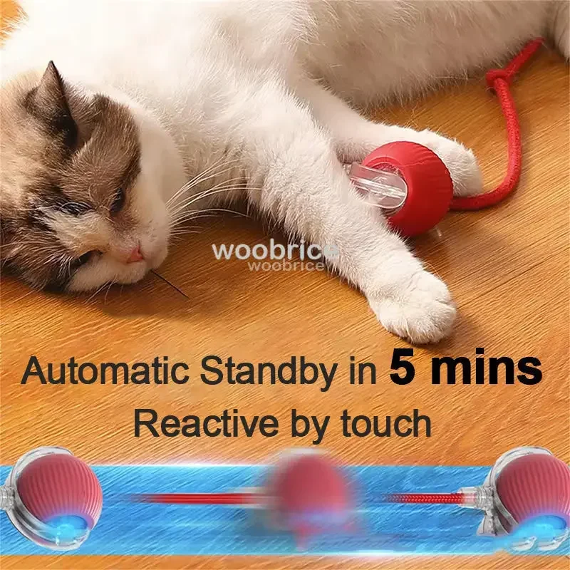 HOT Smart Cat Toys Automatic R - огляд і ціна Pet Supplies First