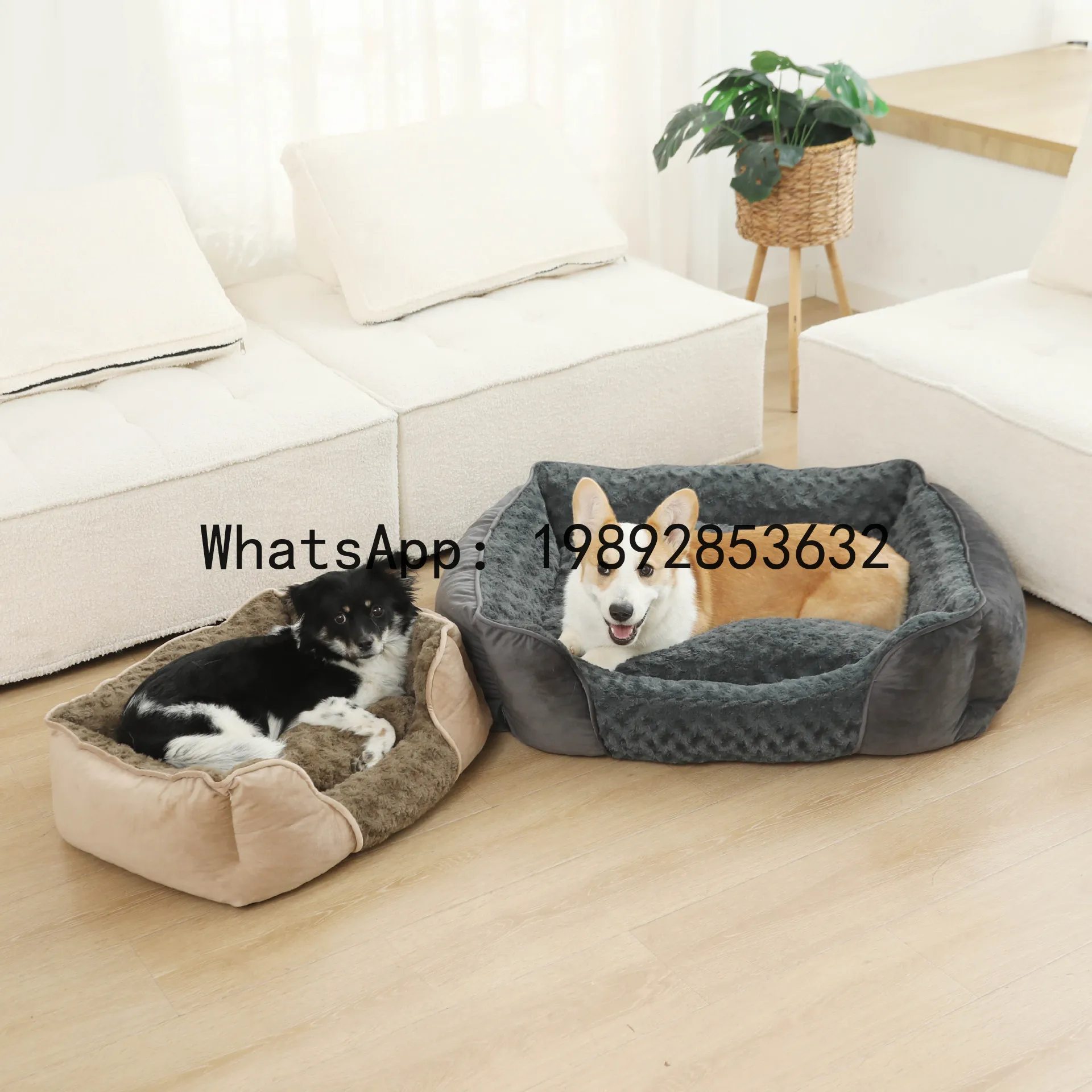 X cat house semi-enclosed dog  - огляд і ціна Pet X Supplies & Tack Grooming
