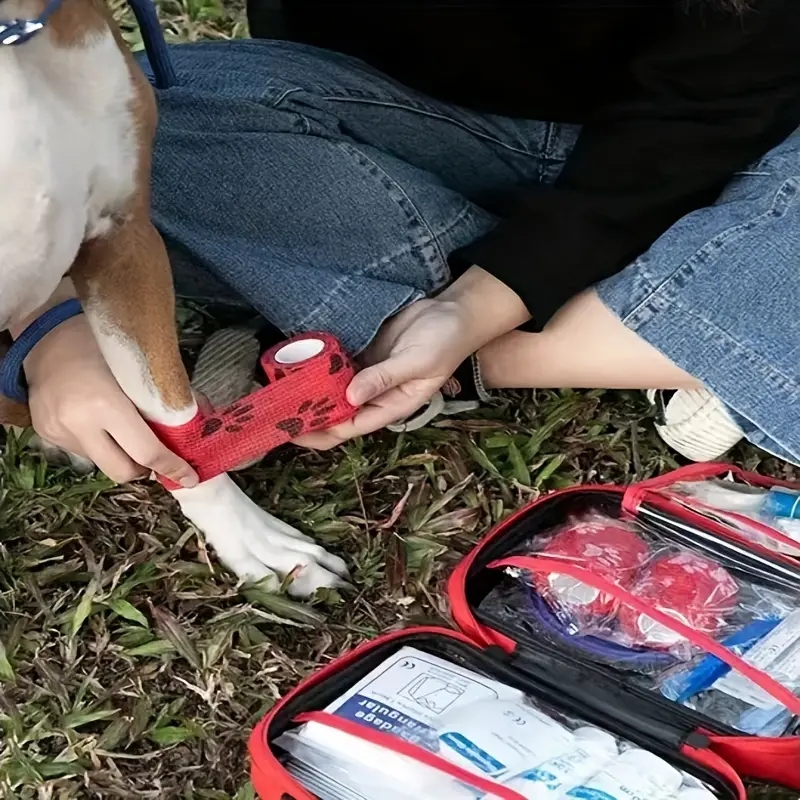 Compact pet First Aid kit for  - огляд і ціна Pet Supplies First