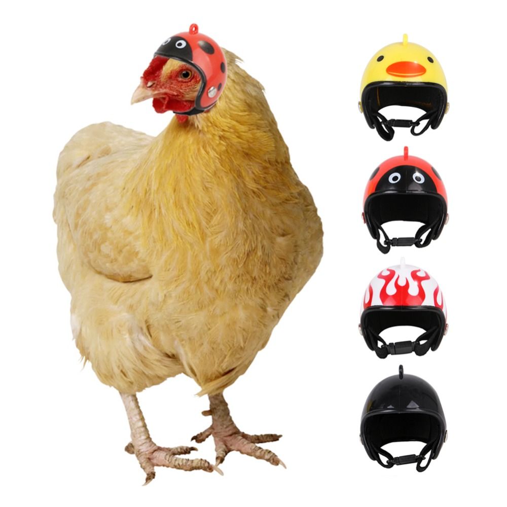 ABS Pet Supplies Funny Pet Pro - огляд і ціна Pet X Supplies & Tack Grooming