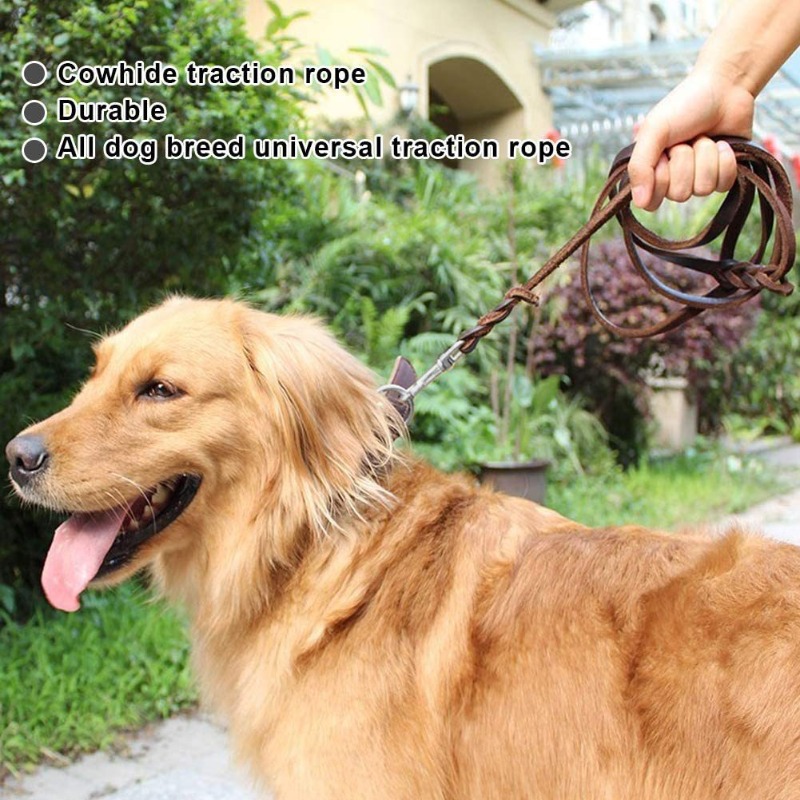 First layer cowhide leash Germ - огляд і ціна Pet Supplies First