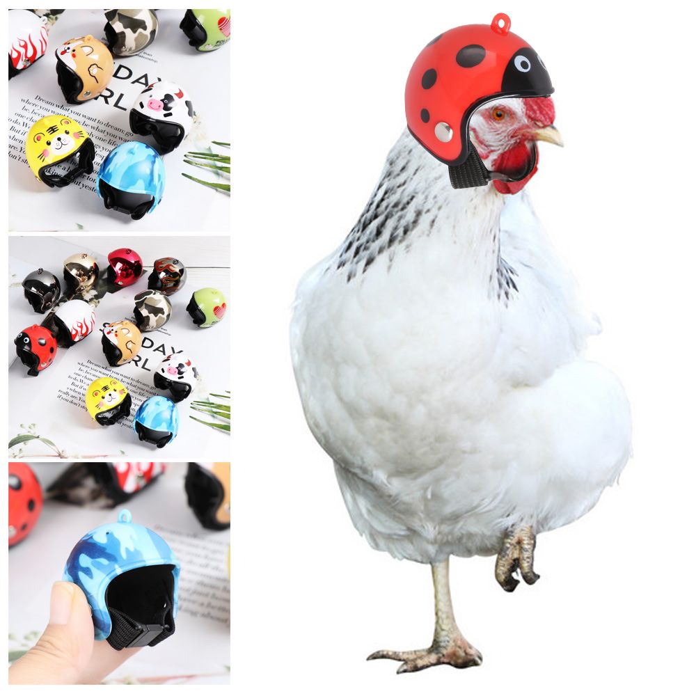 ABS Funny Pet Supplies Pet Pro - огляд і ціна Pet X Supplies & Tack Grooming